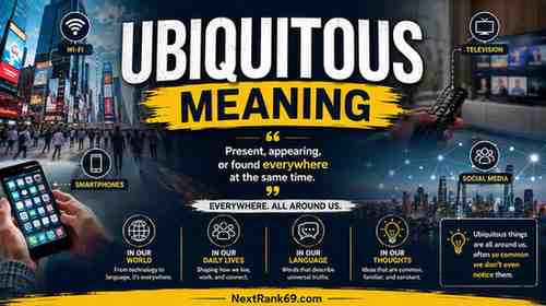 Ubiquitous Meaning