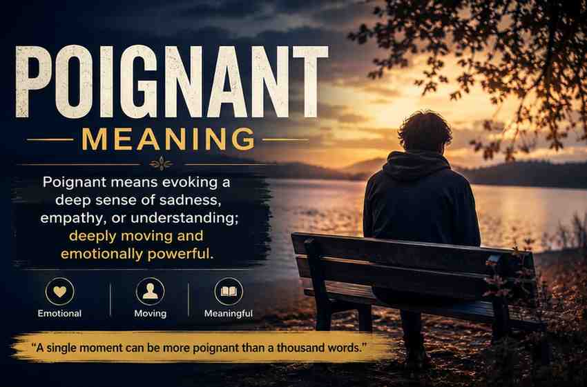 Poignant Meaning