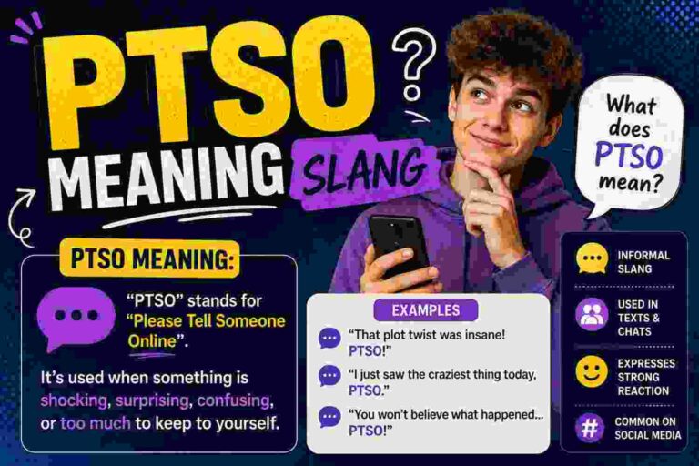 PTSO meaning slang shown through a phone screen with social media comments and trendy fashion emojis